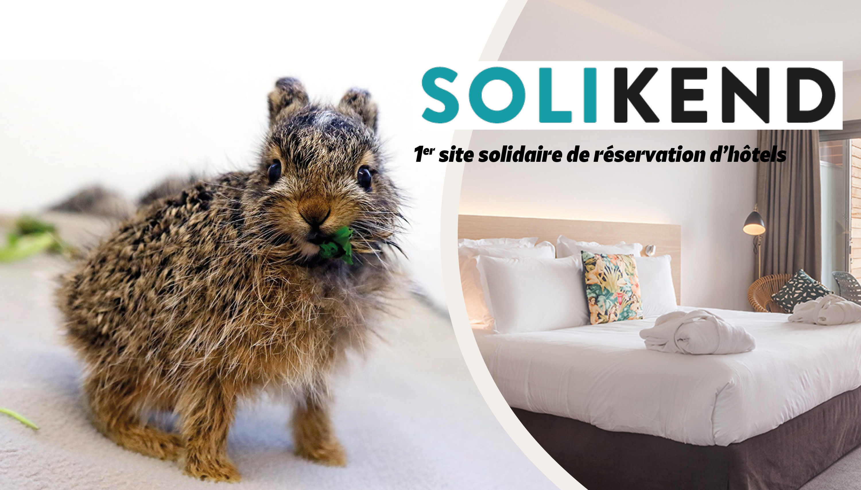 Solikend : un cadeau solidaire pour soutenir notre Centre de soins !